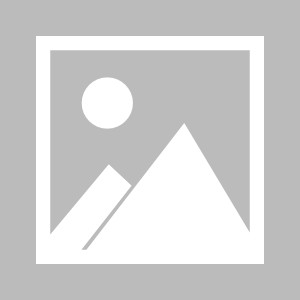 开云体育在线-【记意电波】佛罗伦萨老板科米索，意甲新一代“反派”