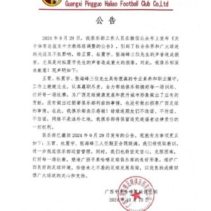 开云体育官方网站登陆-广西：对杜震宇等3人声誉造成损害 撤回此前公告